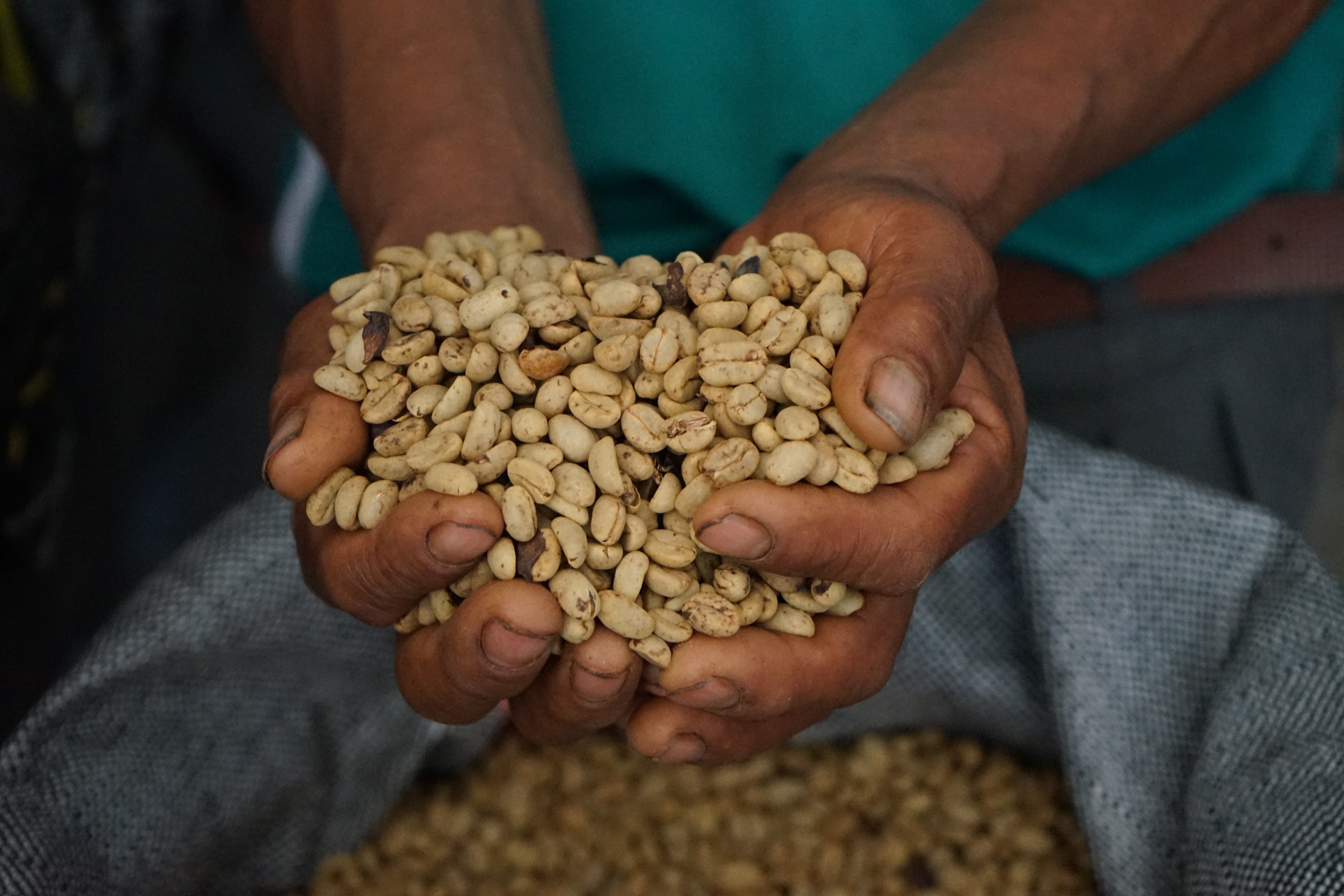 Café verde